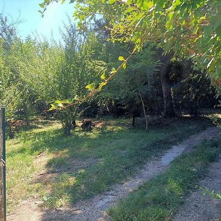 Вилла La Colline Aux Oiseaux, La Tranquillite Des Bois Molieres-sur-Ceze Экстерьер фото